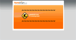 Desktop Screenshot of panelock.com